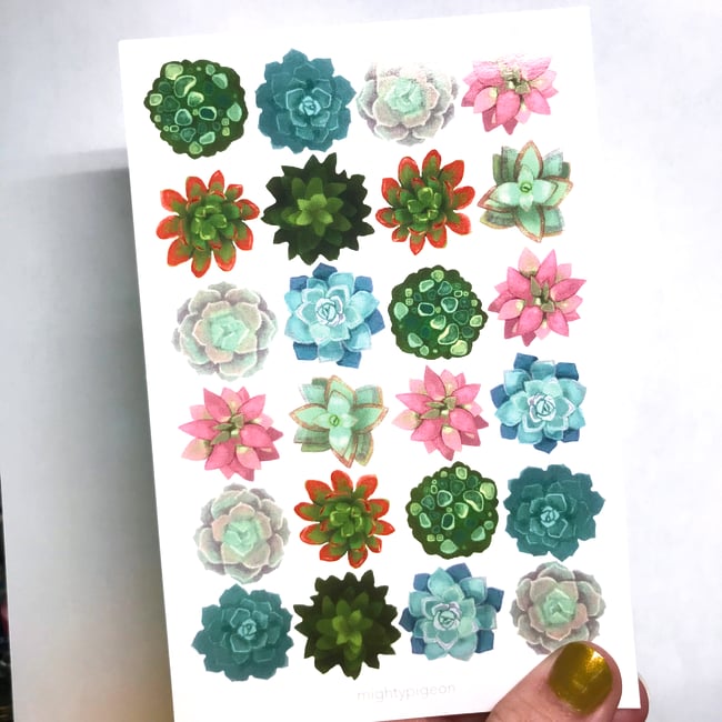 ASSORTED 4x6 Postcards (floral)
