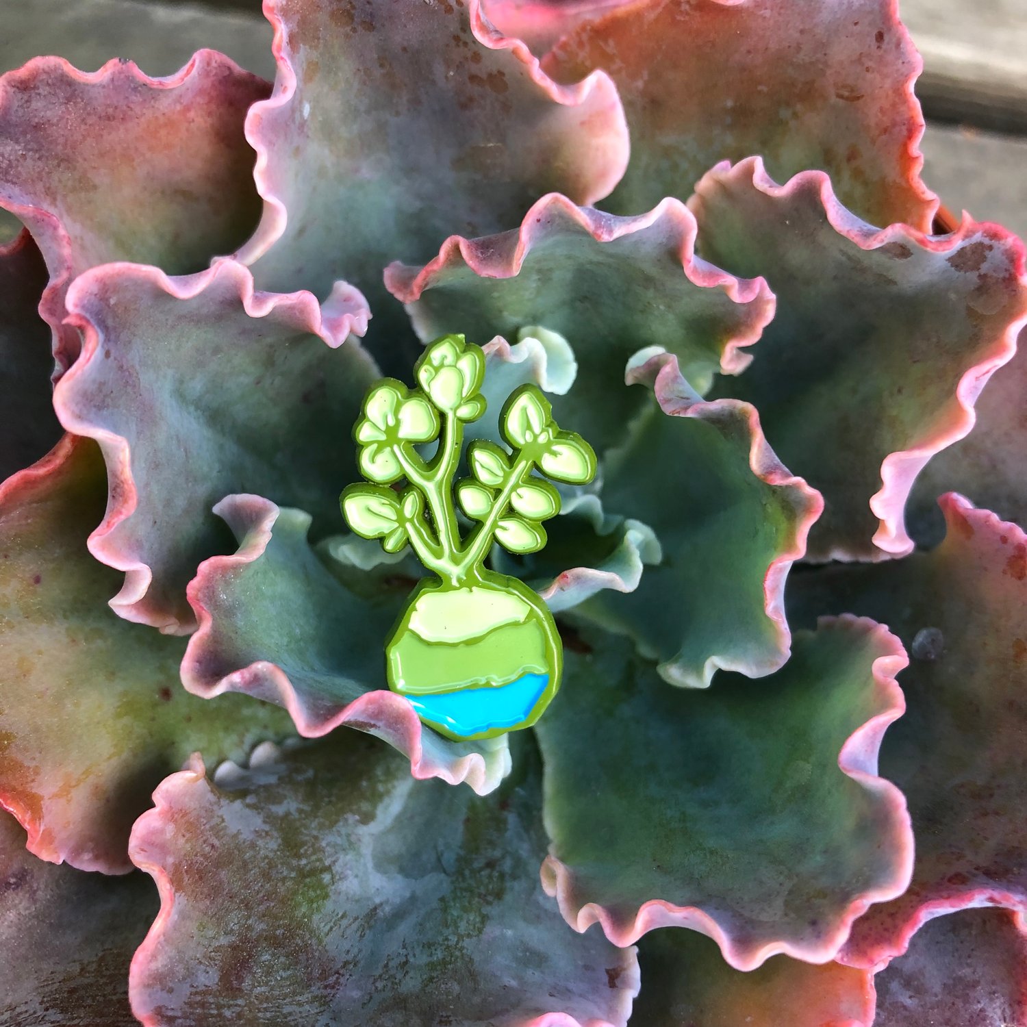 Image of Kokedama Enamel Pin