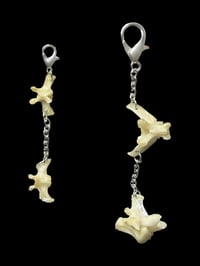 Image 2 of vertebrae charm set