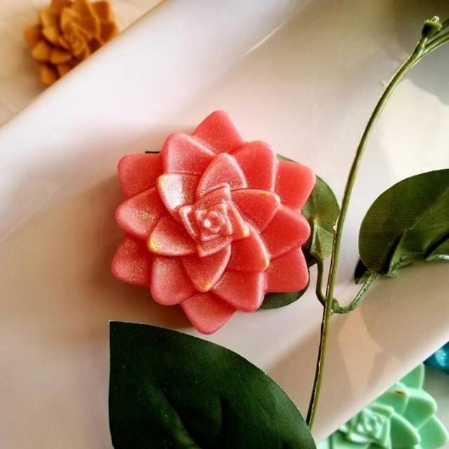 Image of Gentle Root