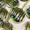 Bluebell Wood Sun Catchers