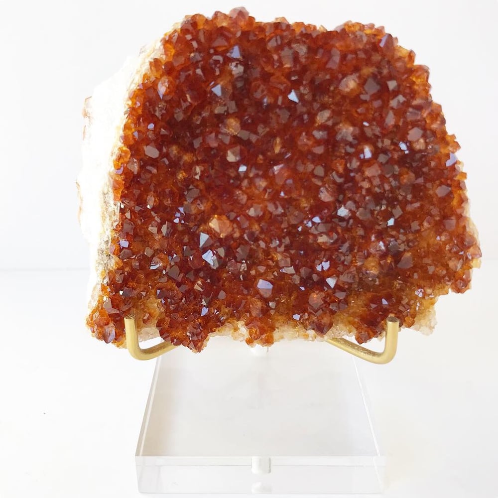 Image of Citrine no.01 Wildflowers Collection Lucite Pairing