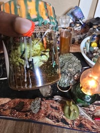 Image 7 of StRange Agave Jupiter JaR