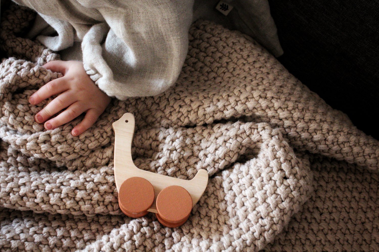 Image of TURTLE AND DUCK