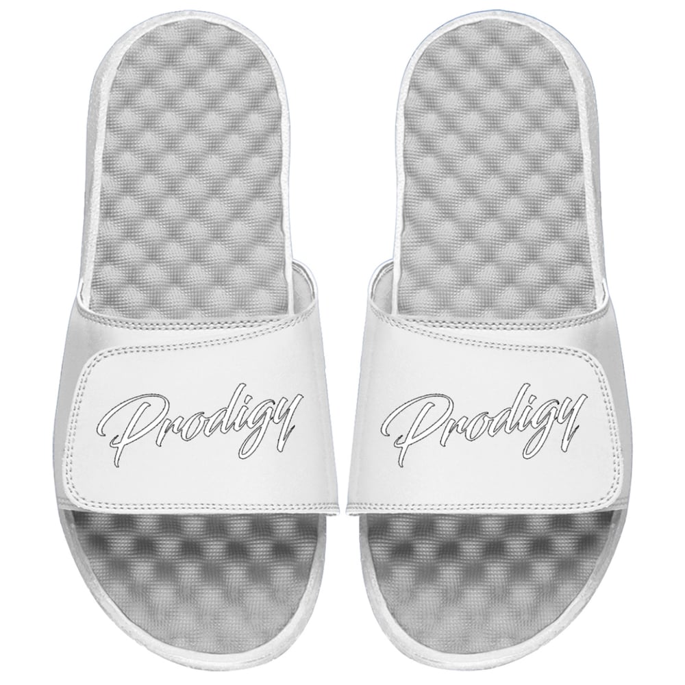 NEW WHITE PRODIGY SCRIPT SLIDES 