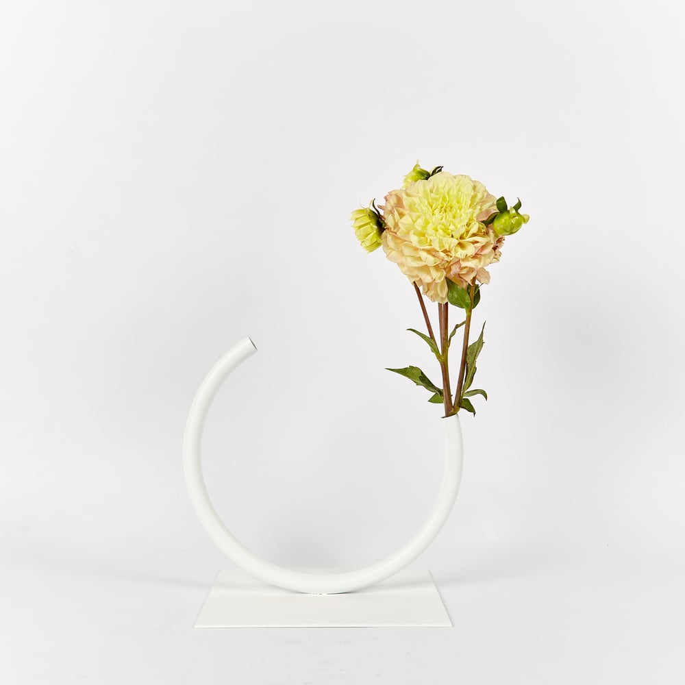 Image of Small, WHITE Edging Over Vase