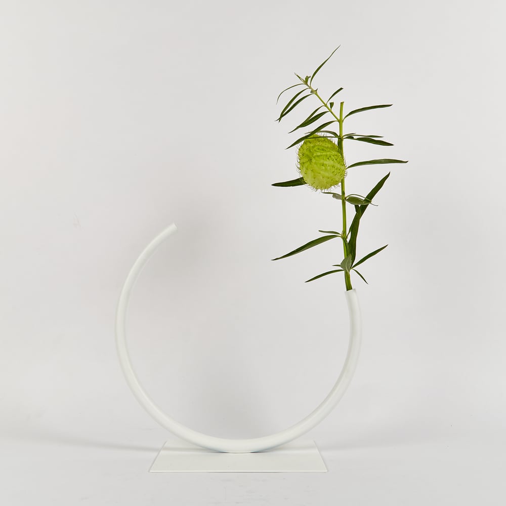 Image of Medium, WHITE Edging Over Vase