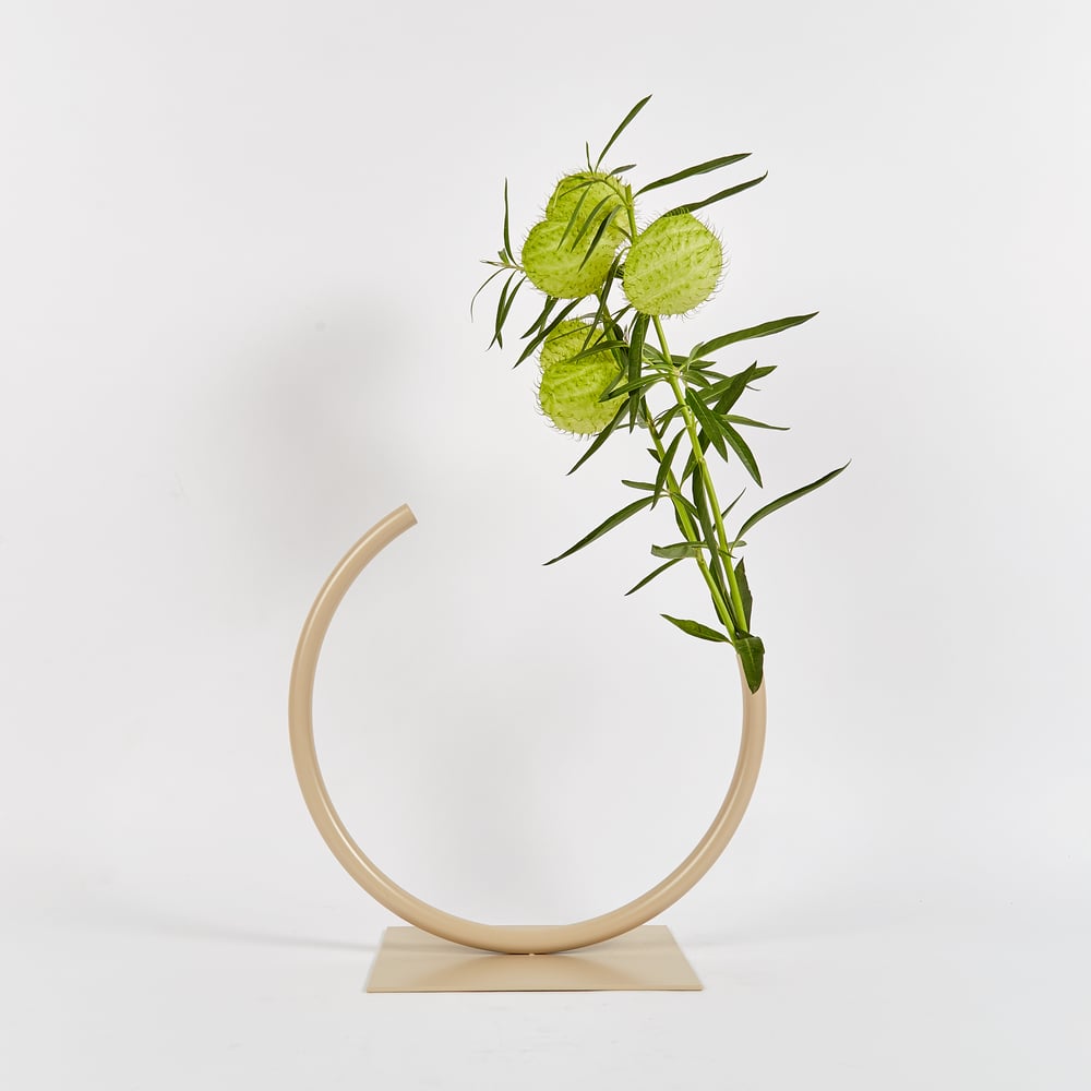 Image of Medium, BEIGE Edging Over Vase