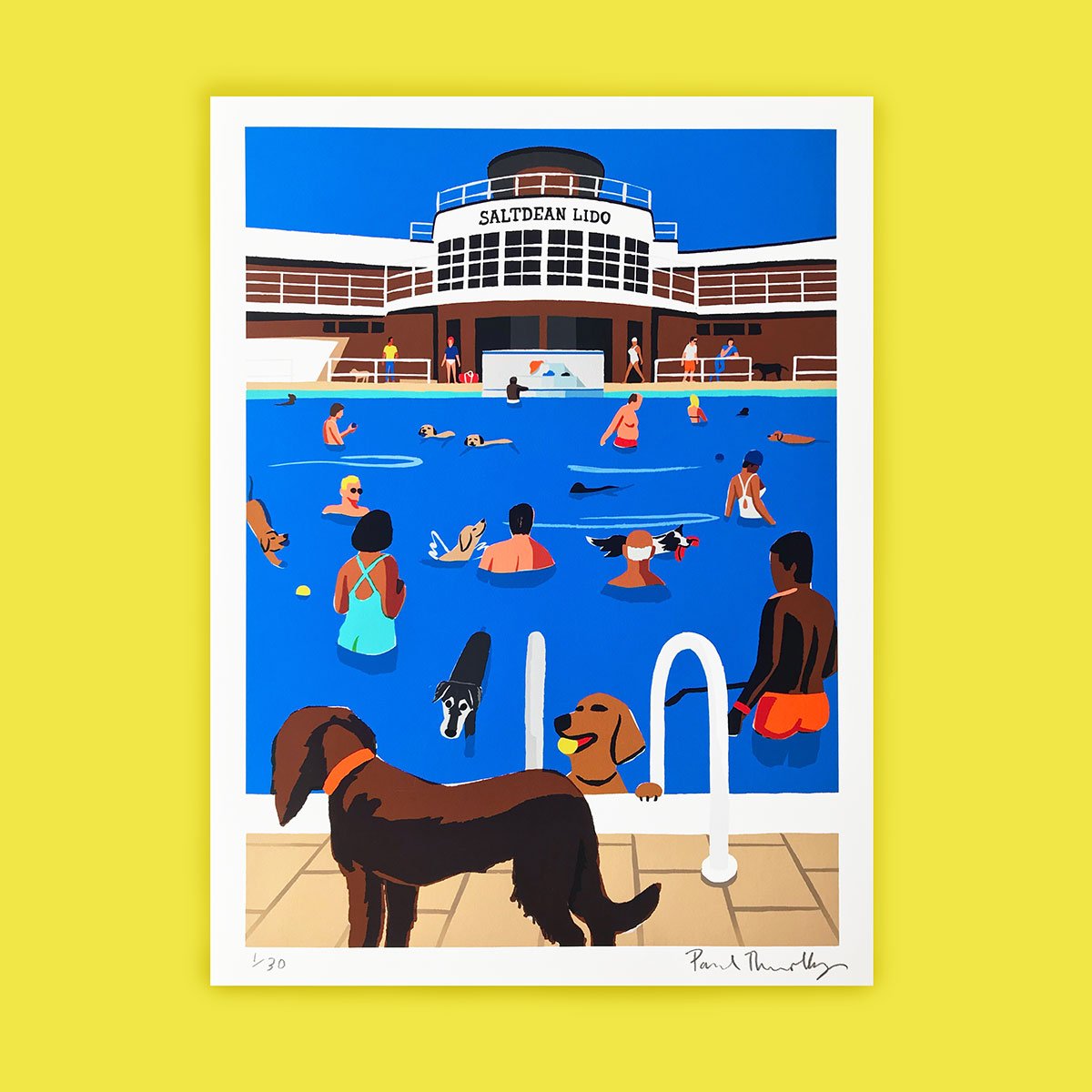 dog-day-at-saltdean-lido-paul-thurlby