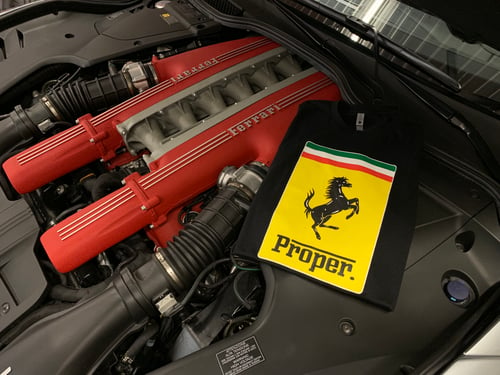 Image of Proper Prancing Horse