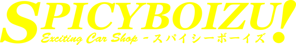 Image of Boizu Banner 25x4"