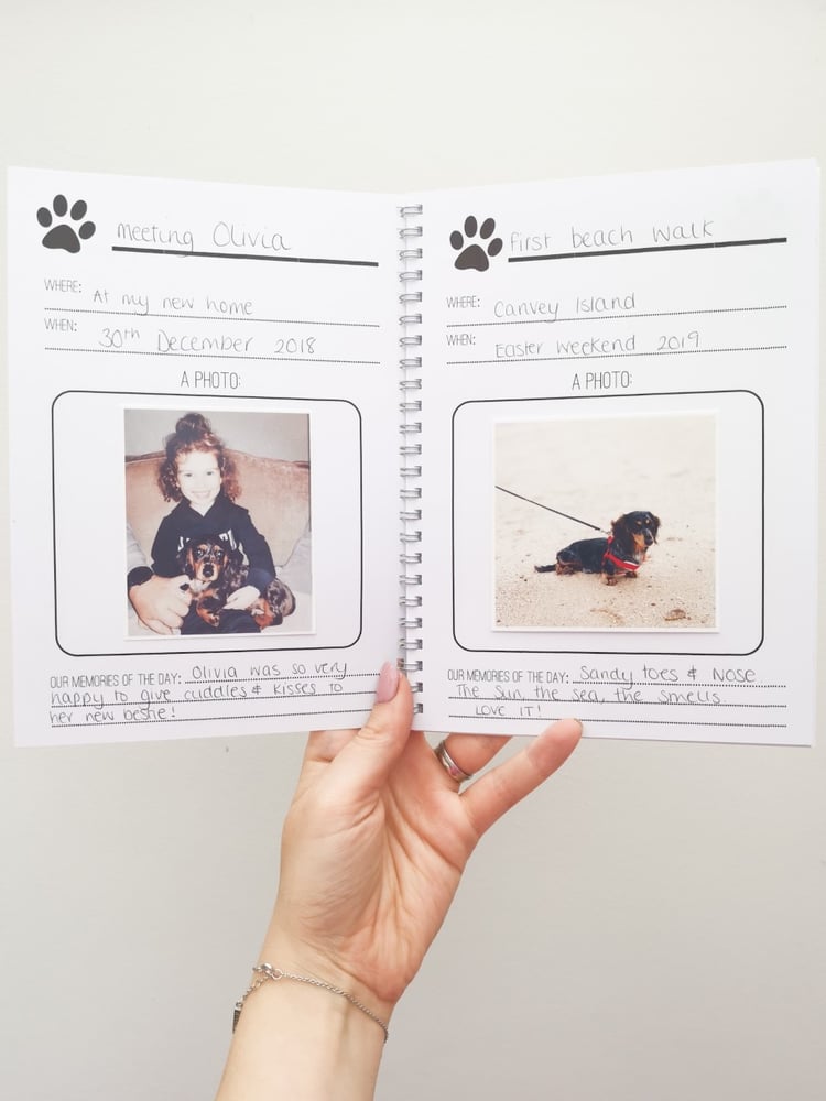 Image of Personalised Dog Adventures