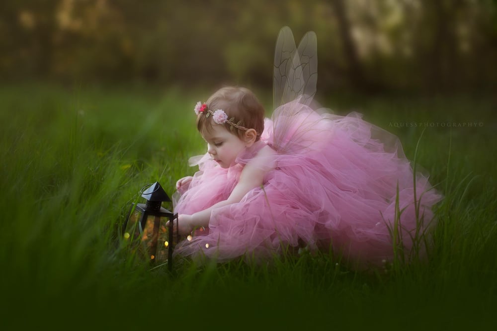 Image of Forest fairy sessions