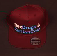 Image 2 of SD&CC Snap back hats