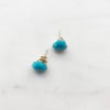 Sleeping Beauty Turquoise Earring