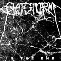 Shitstorm / Radiation - Split 7"