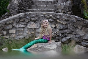 Image of Birthday or Holiday Theme Package