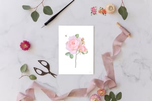 Image of Rose Print