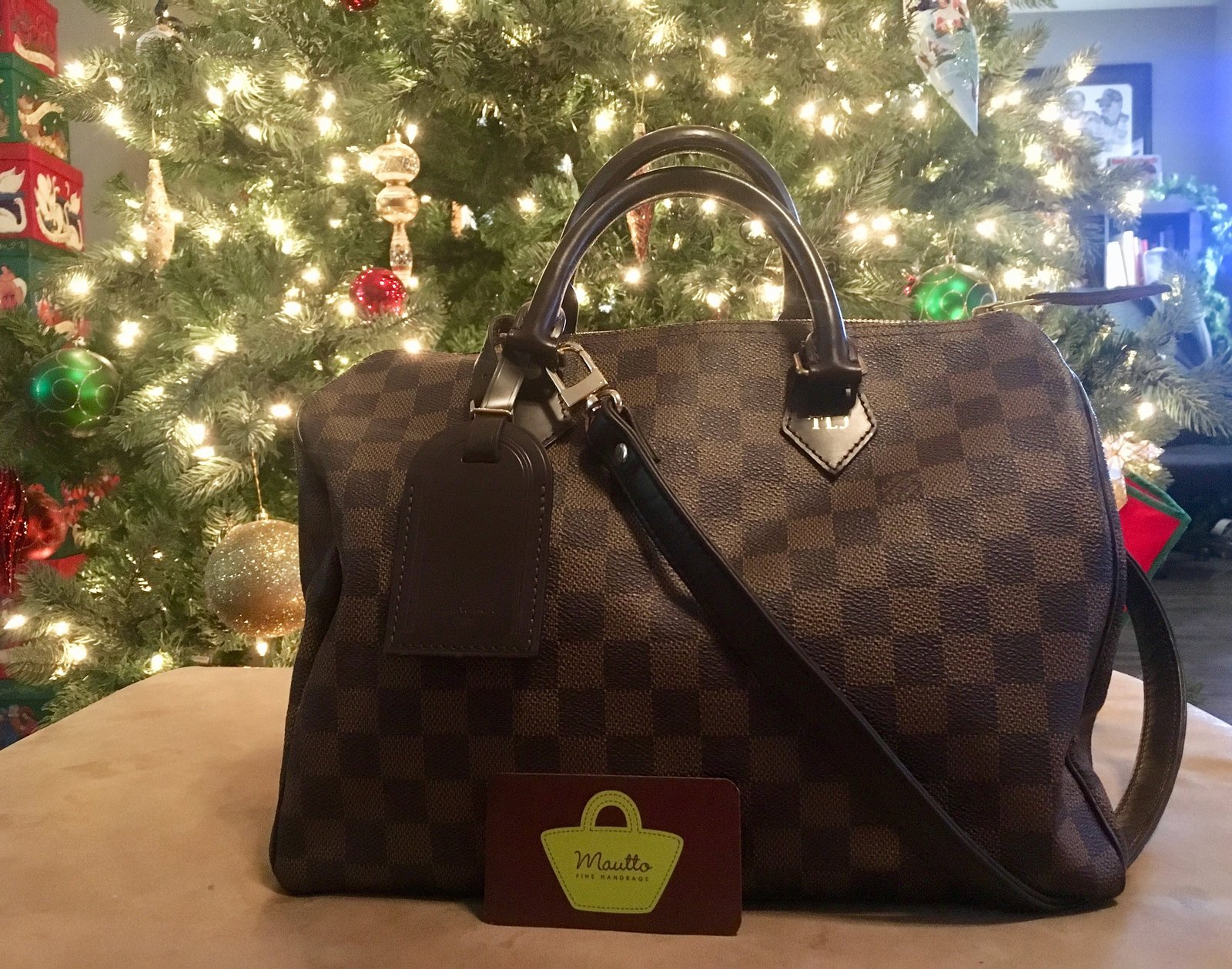 louis vuitton purse