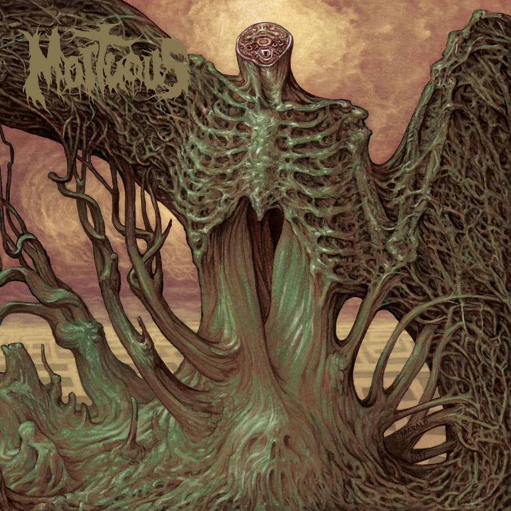 Image of Mortuous - Through Wilderness CD / 12"