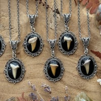 Image 4 of Shark Tooth Necklace