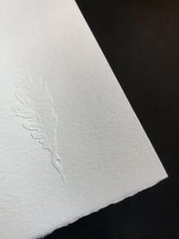 Image 5 of LA NIÑA Y LA DAMA