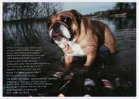Image 2 of Animal Planet