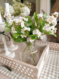 Image 1 of Dainty Forget-Me-Not Posy ( 6 Sprays )