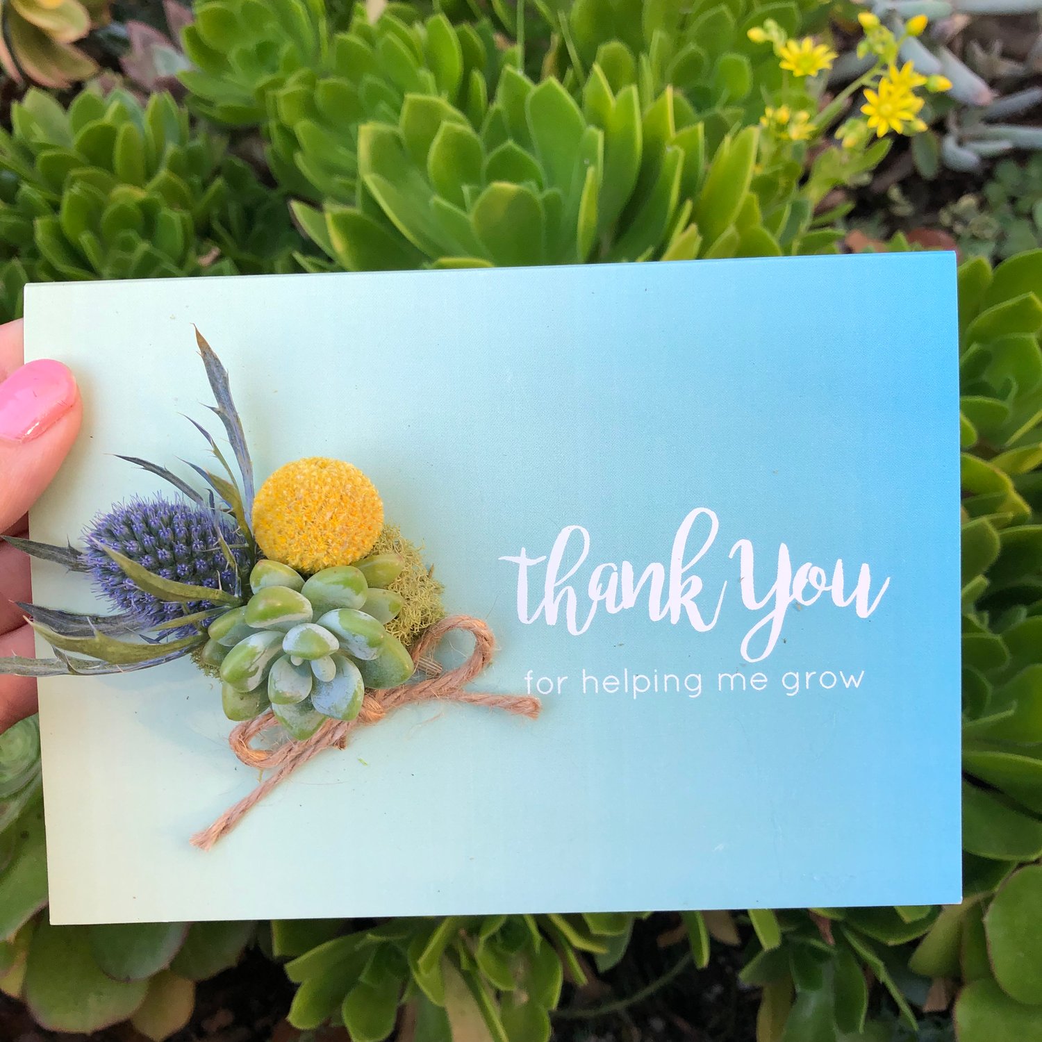 Image of Thank you for helping me grow- Living succulent card