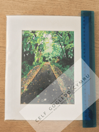 Trac beicio Y Felinheli