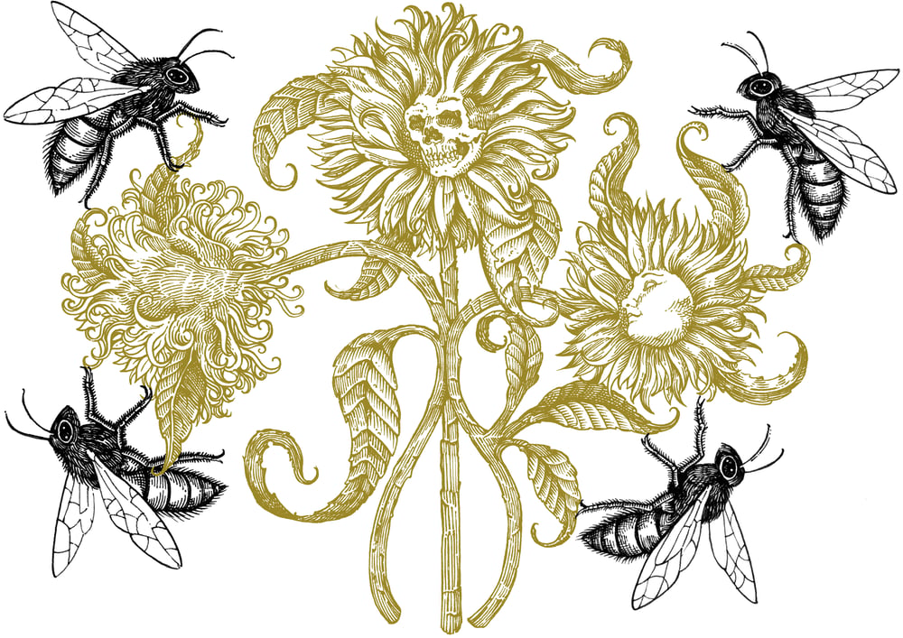 "honey bloom" limited edition screen  print