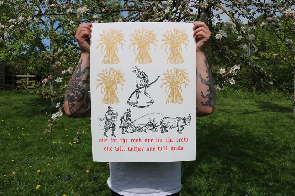 "Four little seeds" limited edition screen print