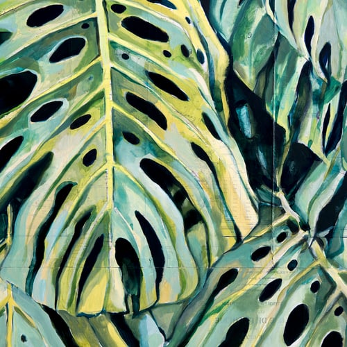 Image of Original painting - "Monstera deliciosa" - 100X100 cm