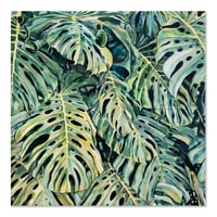 Image 1 of Original painting - "Monstera deliciosa" - 100X100 cm