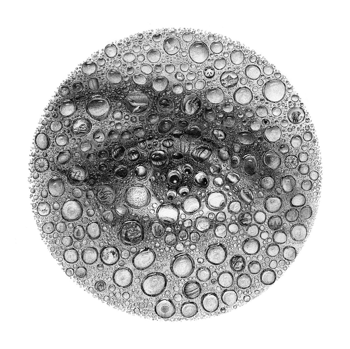 Oculatus CJP Art