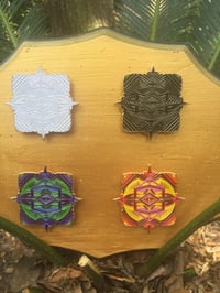 Hidden secrets of the Akash pins 