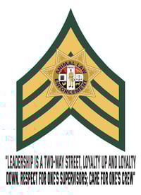 Image 4 of Sergeant green and tan stripes mug