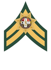 Image 4 of Corporal green and tan chevrons mug