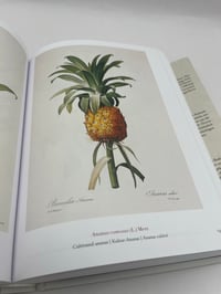 Image 3 of The Book of Flowers. 45th Ed.