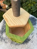 Image 5 of green traditional Jack