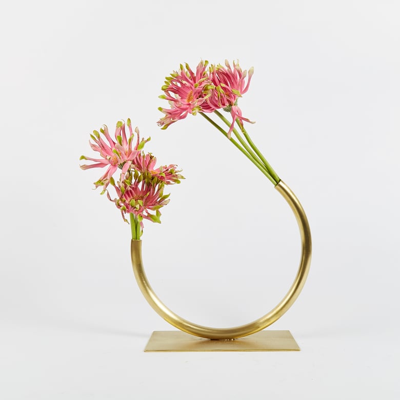 Image of Best Practice Vase - Clear Coated Brass, Small Circle, Thick Tube