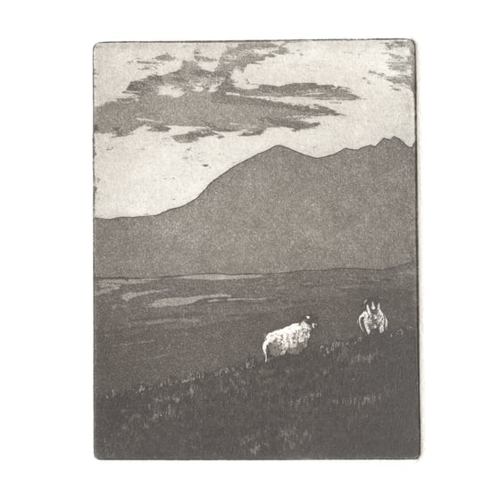Image of Two sheep. Fine art print. 5.5cm x 7cm