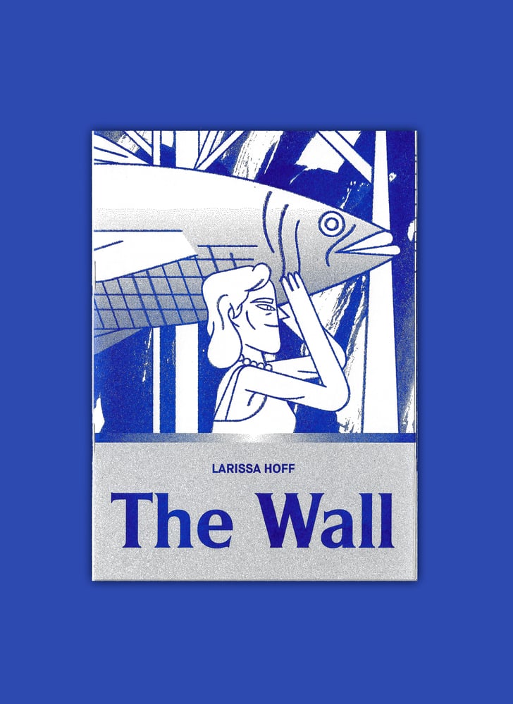 Image of The Wall (English Edition of "Der Wall")