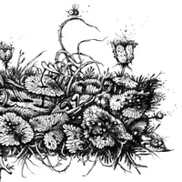 Image 4 of Letter E Decorative - Print