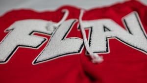 Image of Red FLAV shorts