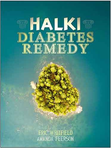 Image of Diabetes Freedom 2021 Review