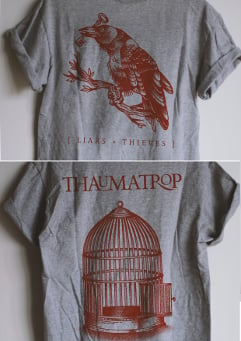 Image of Thaumatrop Tshirt 