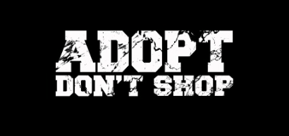 Image of Tshirt "ADOPT DON'T SHOP"
