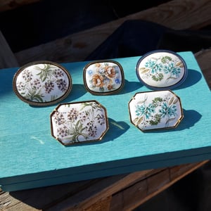 Image of BOTÀNICA (penjolls i agulles per posar-te cada dia)