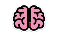 JIU JITSU STATE OF MIND BRAIN LOGO 4" STICKER